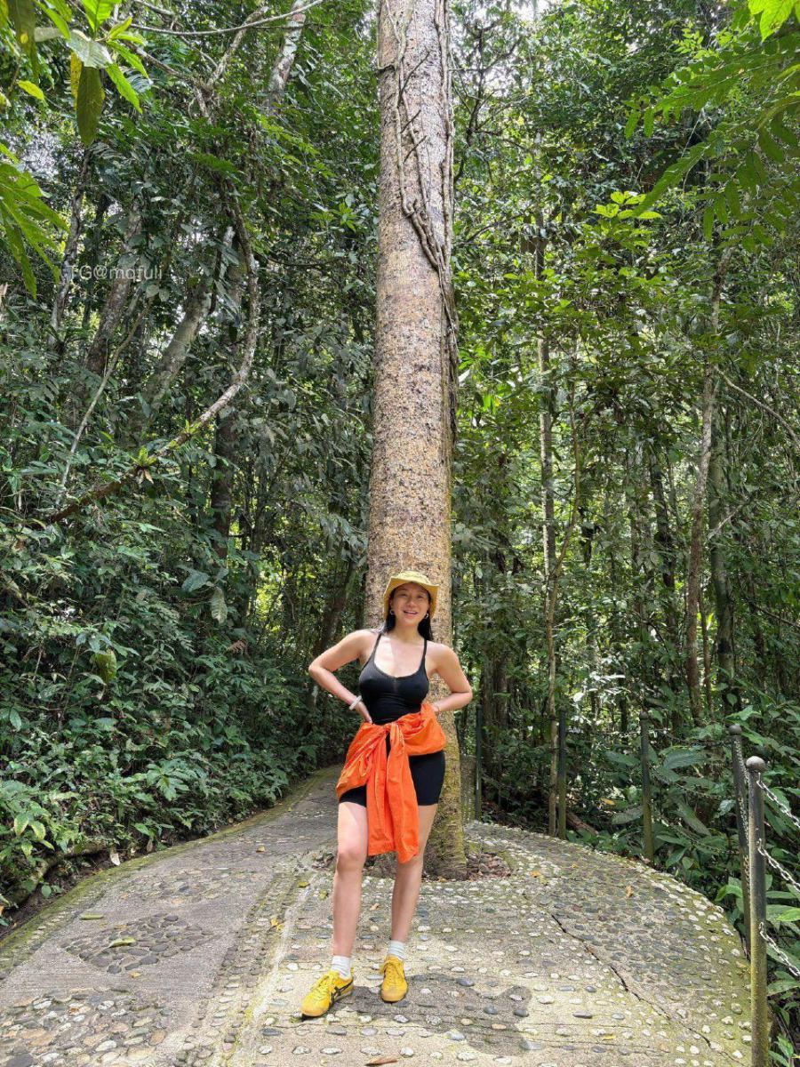 鹿瑶 2025-05-07 09:43:45 日期之前微密圈 资源合集 照片100p