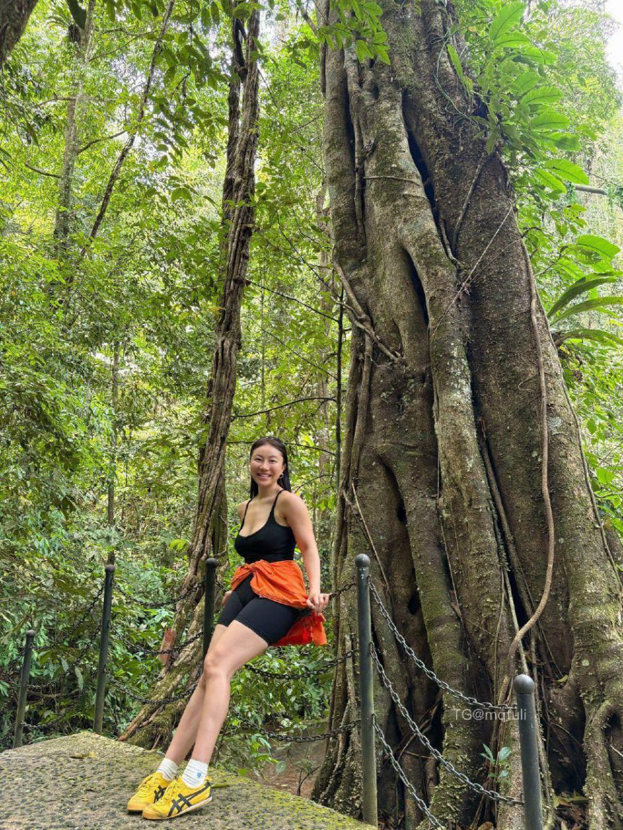 鹿瑶 2025-05-07 09:43:45 日期之前微密圈 资源合集 照片100p 第99张