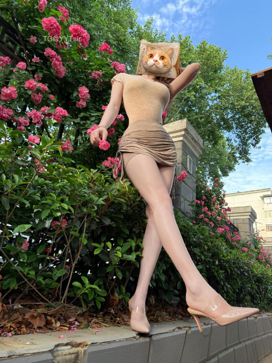 肚脐小师妹的小圈子 2025-05-24 13:59:15 VIP月卡❤️你们喜欢的照片